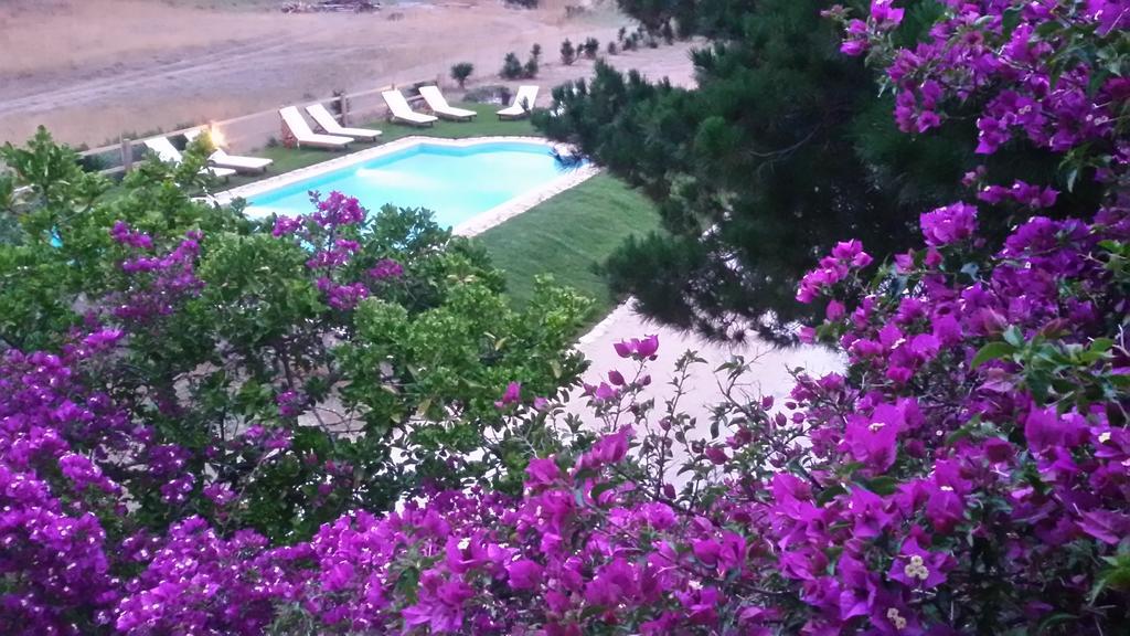 Elli Beach Apartments And Studios Almiros Beach Номер фото